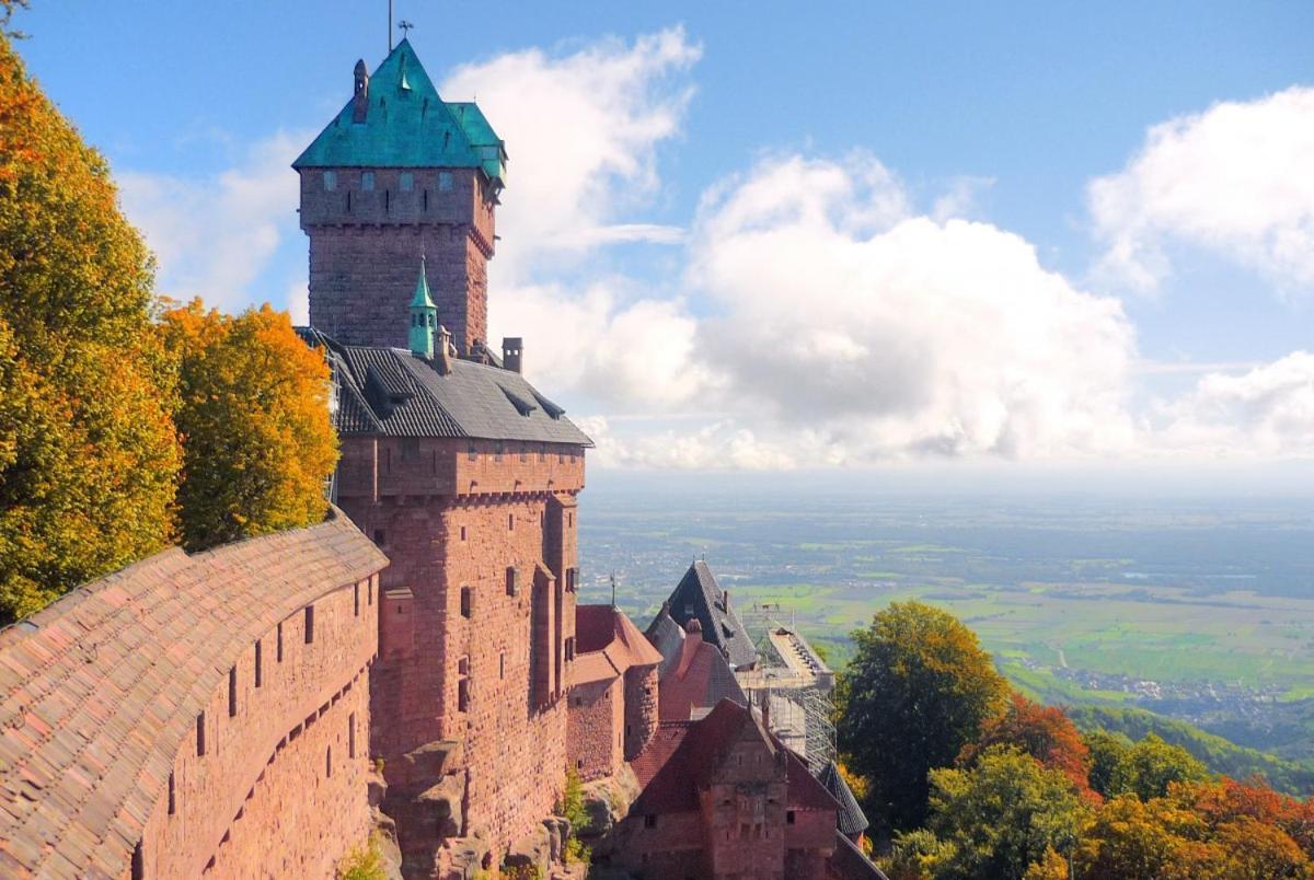 Апартаменти Le Strasbourgeois Ількірш-Ґраффенстаден Екстер'єр фото